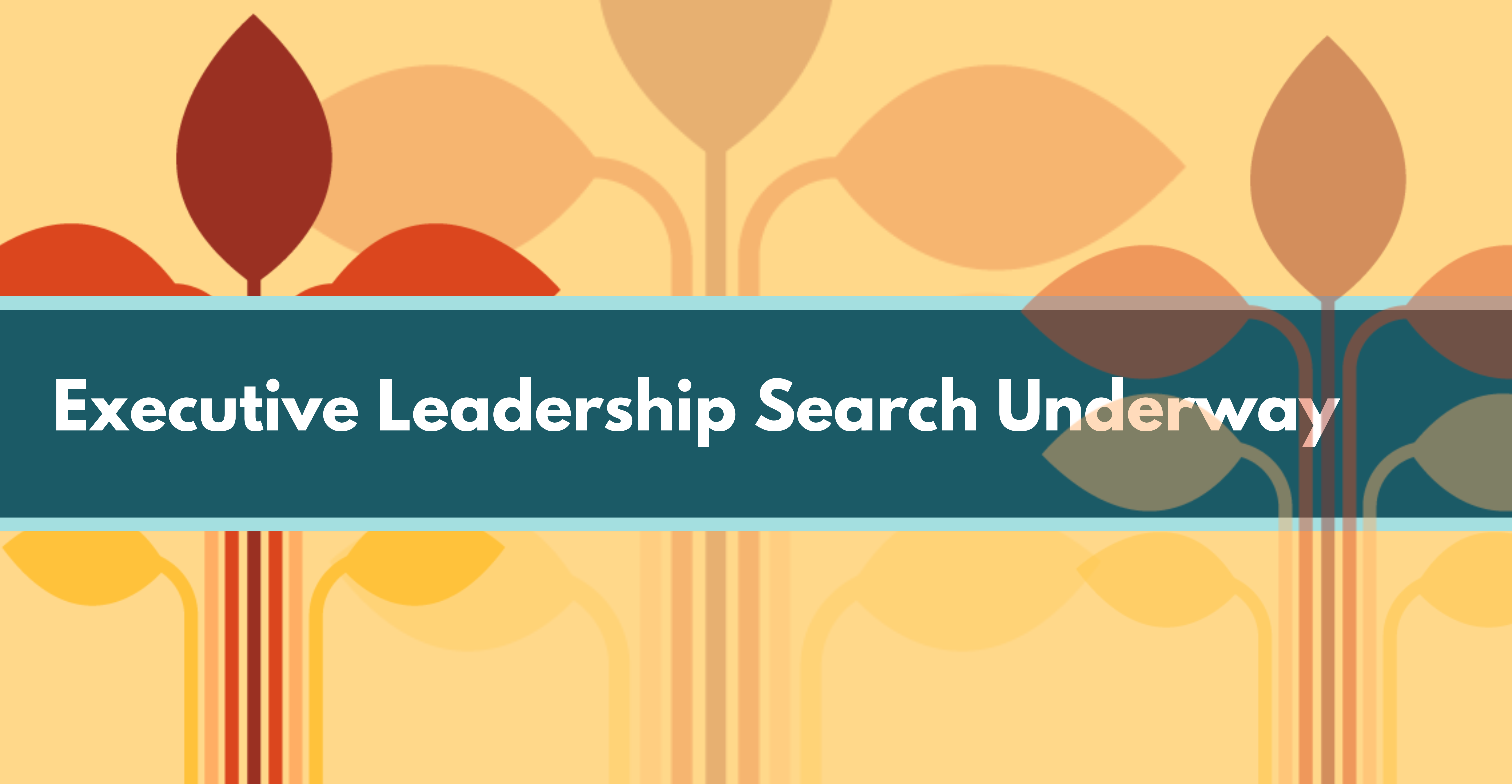 Executive Leadership Search2