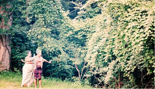 Two people explore a garden